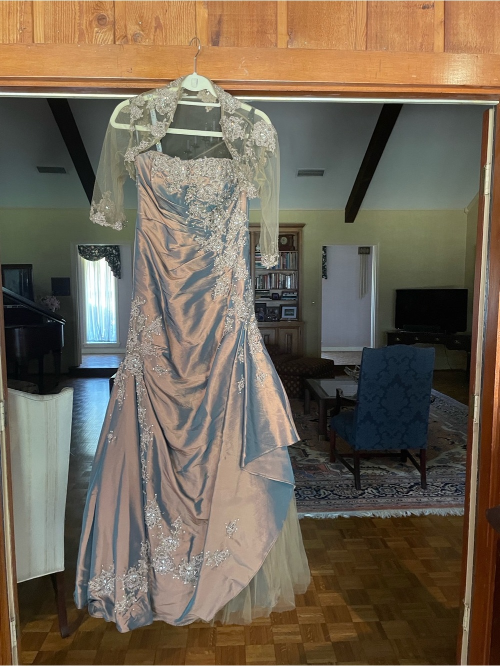 Rina diMontella Shimmering Taupe Lace Appliqué Evening Gown with Sheer Bolero